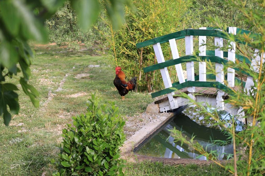 Hotel Agrotourism Galic Krka Drinovci Exterior foto